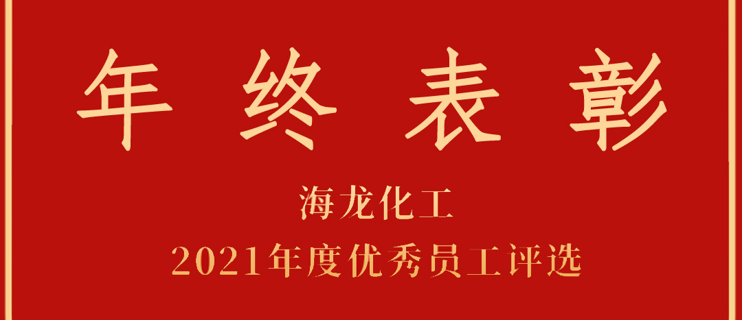 <strong>表彰！海龍化工2021年度優(yōu)秀員工優(yōu)秀部門評選</strong>