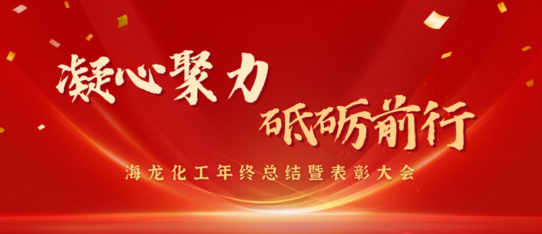 表彰 | 凝心聚力，砥礪前行，海龍化工年終總結(jié)暨表彰大會圓滿舉行