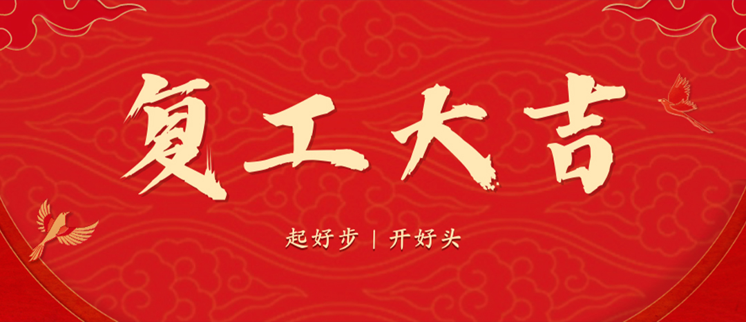 <strong>上好開(kāi)工第一課，干出新年新氣象--海龍化工召開(kāi)春節(jié)后復(fù)工復(fù)產(chǎn)專題部署會(huì)議</strong>
