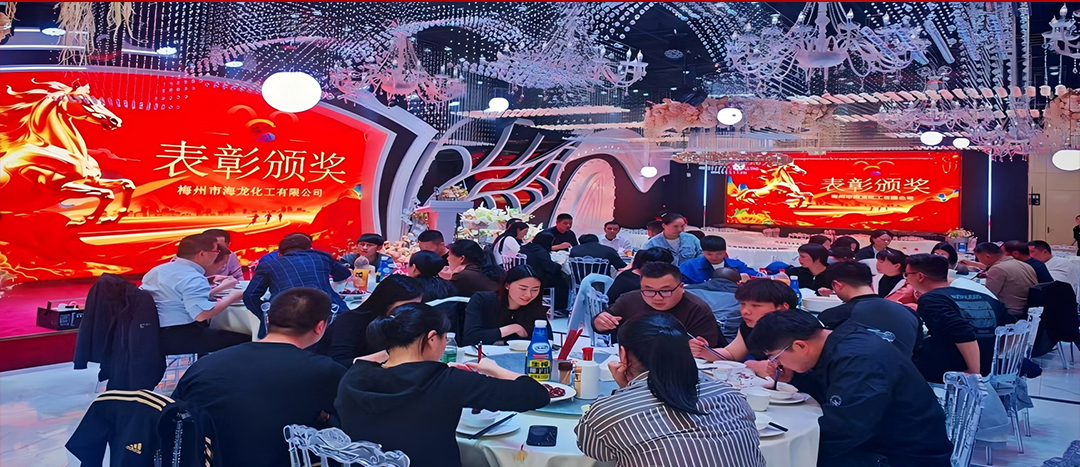 騏驥開道，奮進(jìn)新篇 | 海龍化工2025年終工作總結(jié)表彰暨團(tuán)年晚宴圓滿落幕